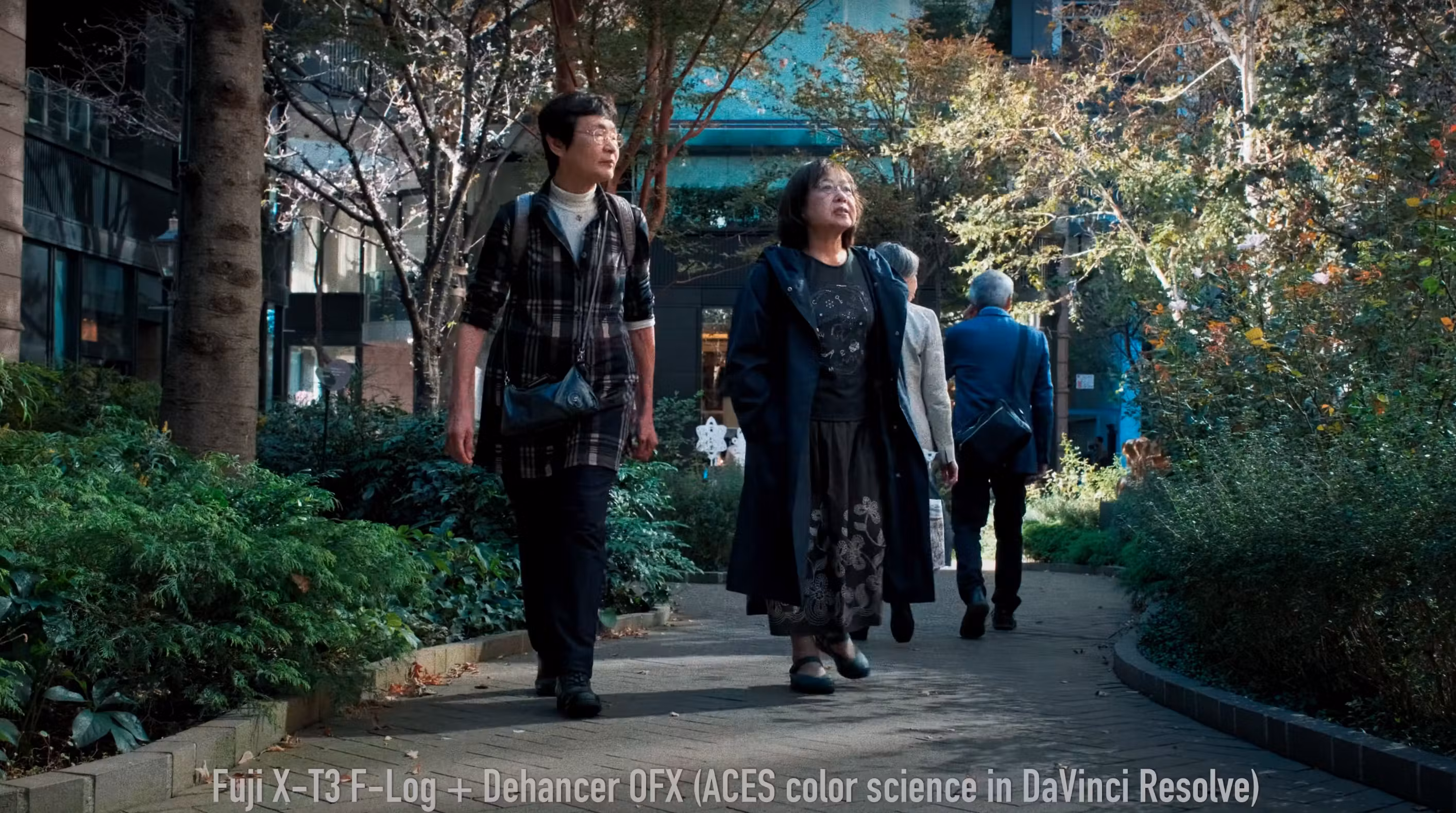Fuji X-T3 F-Log + Dehancer OFX (ACES color science in DaVinci Resolve)