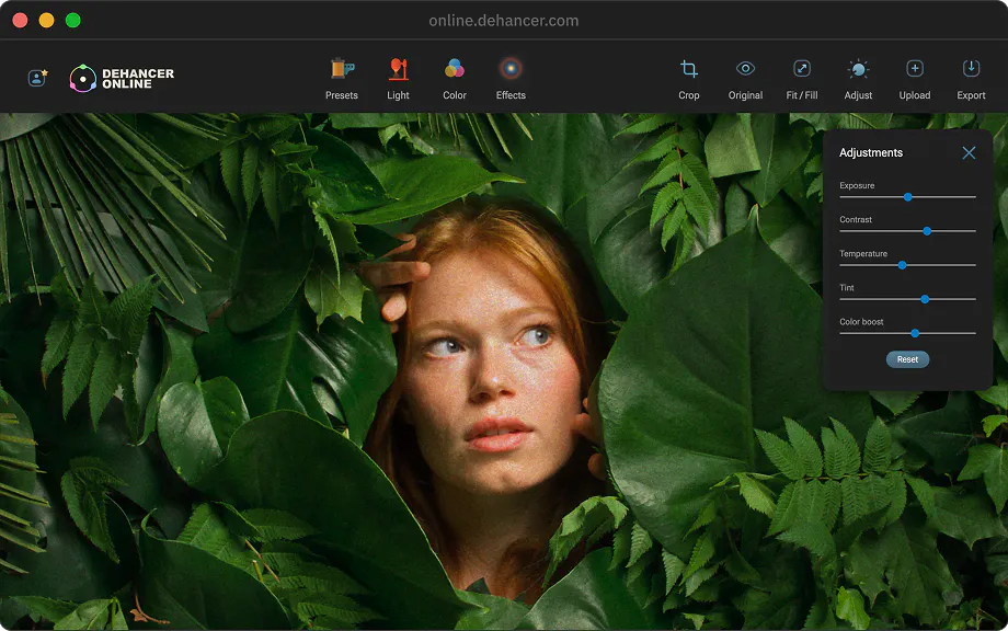 Dehancer Online running in a browser with film grading controls