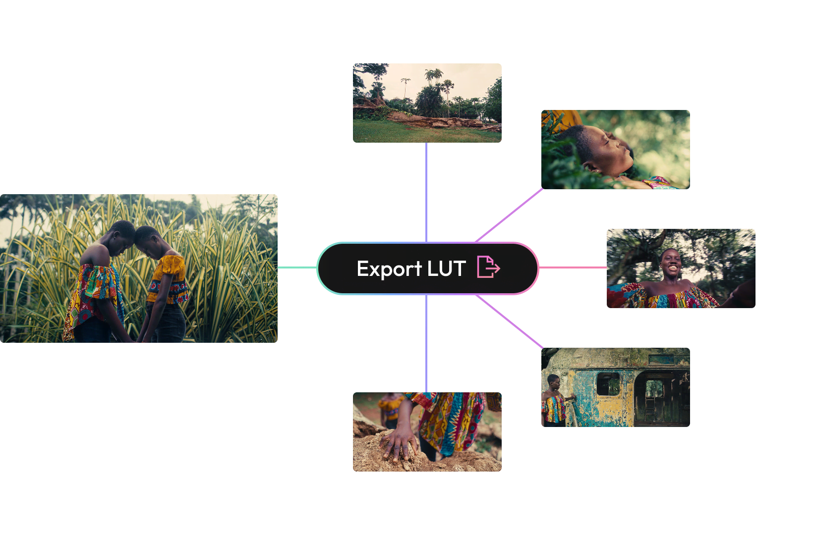 One Dehancer LUT exported and applied across multiple shots for a consistent look