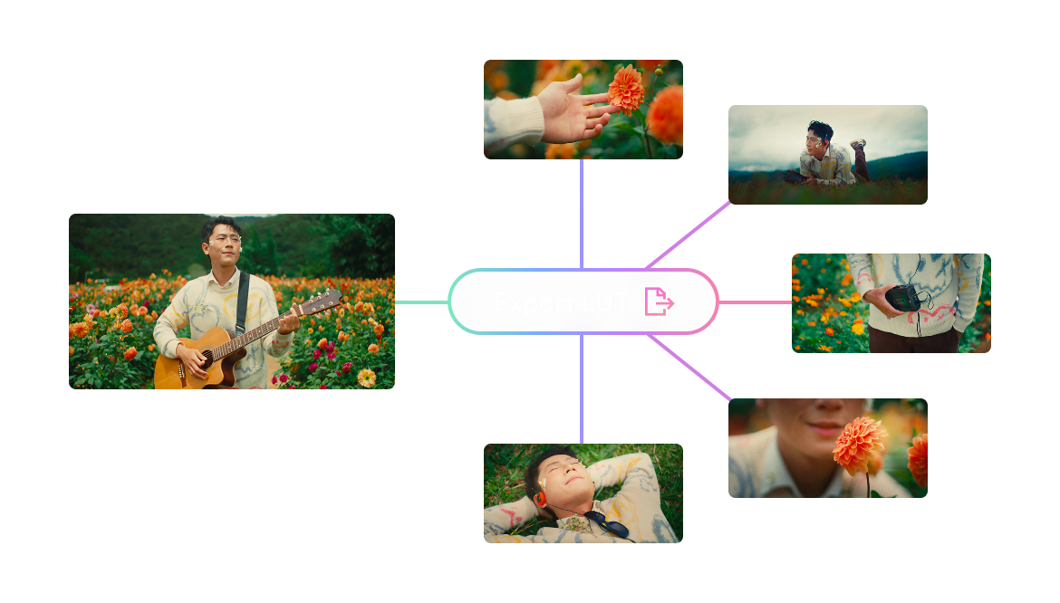 One Dehancer LUT exported and applied across multiple shots for a consistent look
