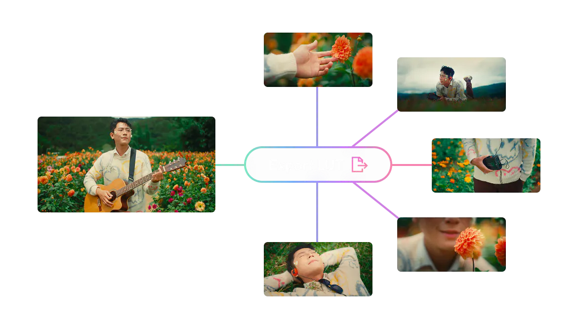 One Dehancer LUT exported and applied across multiple shots for a consistent look