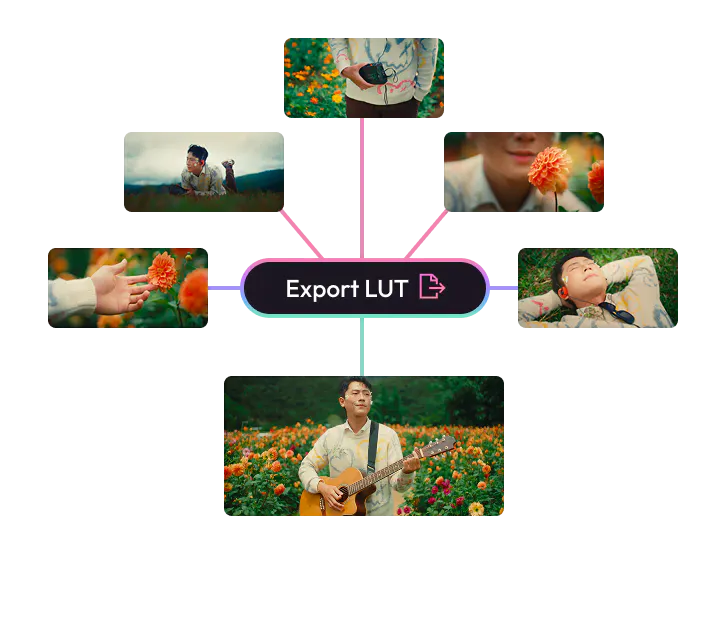 One Dehancer LUT exported and applied across multiple shots for a consistent look