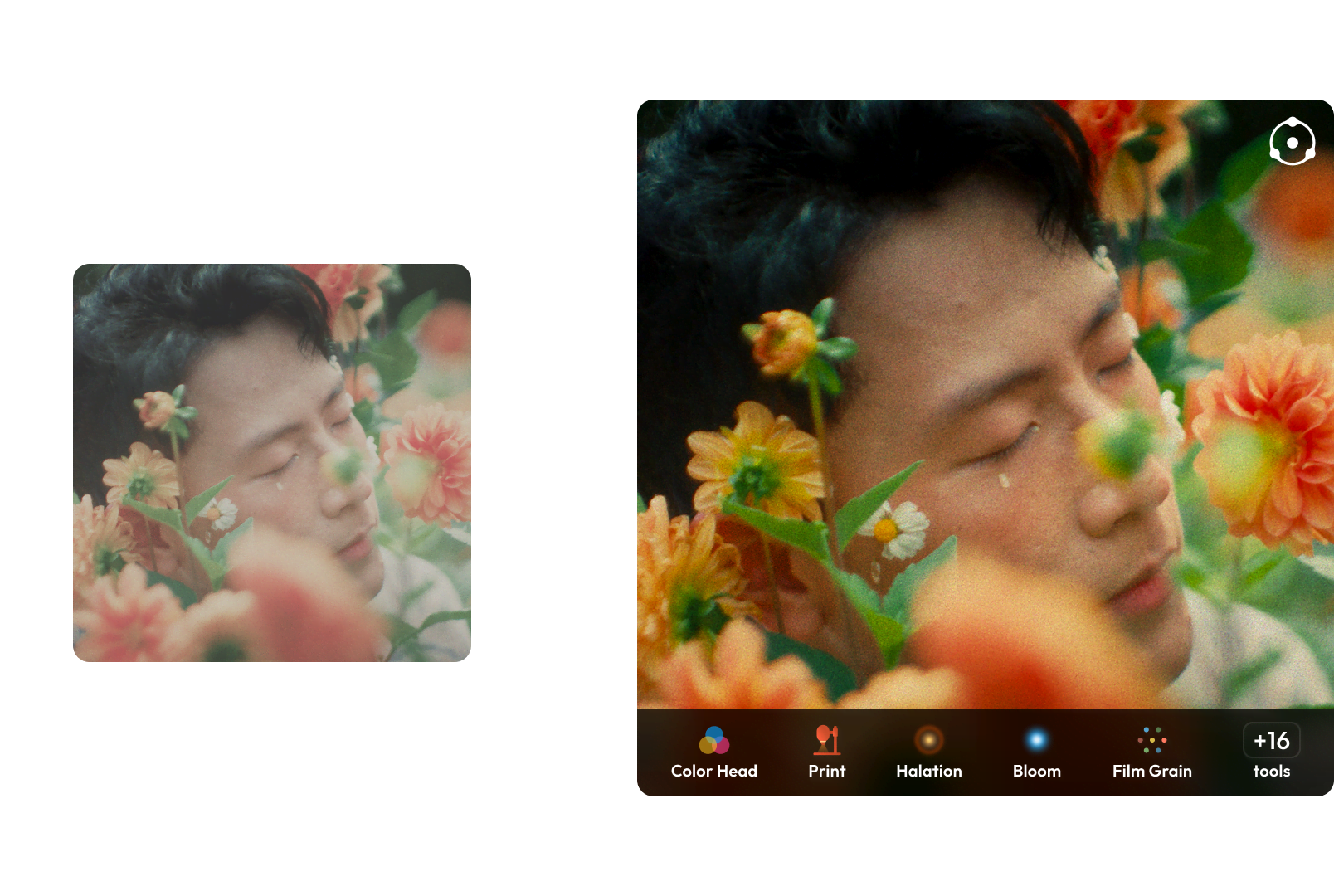 Before-and-after of a portrait graded with Dehancer's film emulation tools