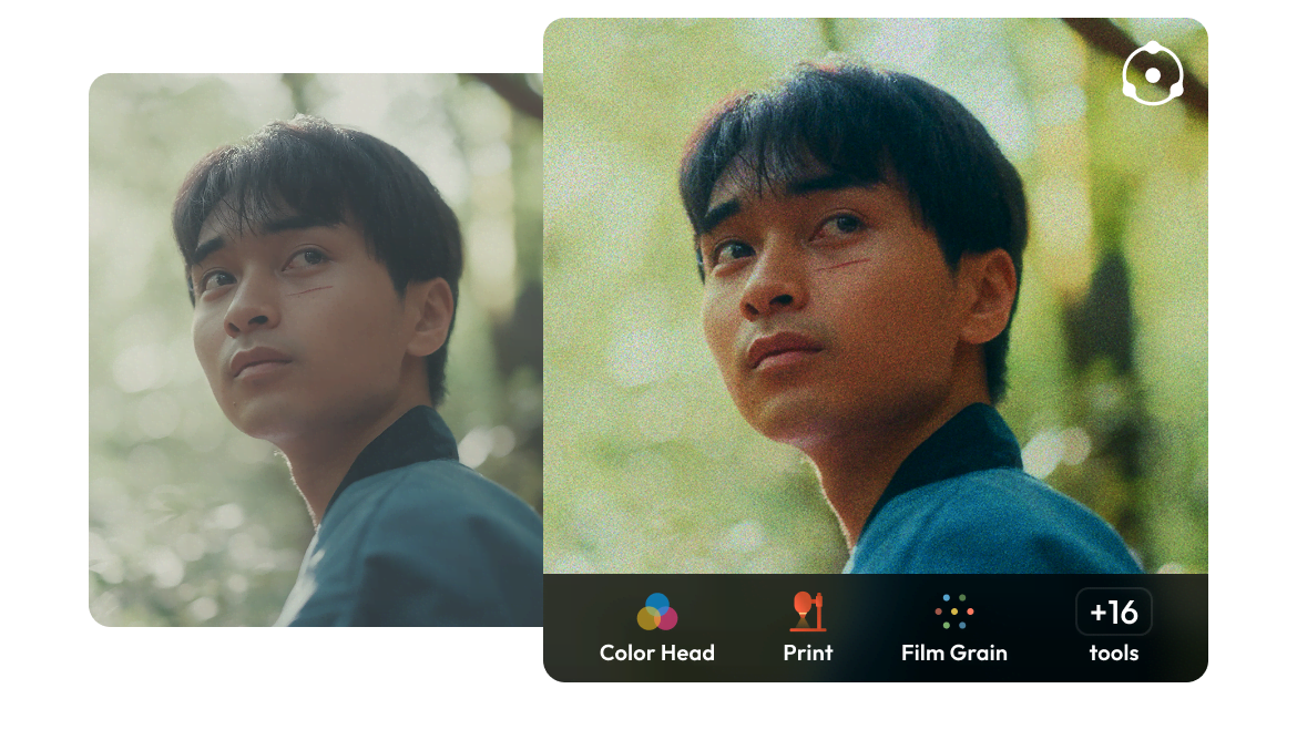 Side-by-side before-and-after of a film-style color grade with Dehancer tools