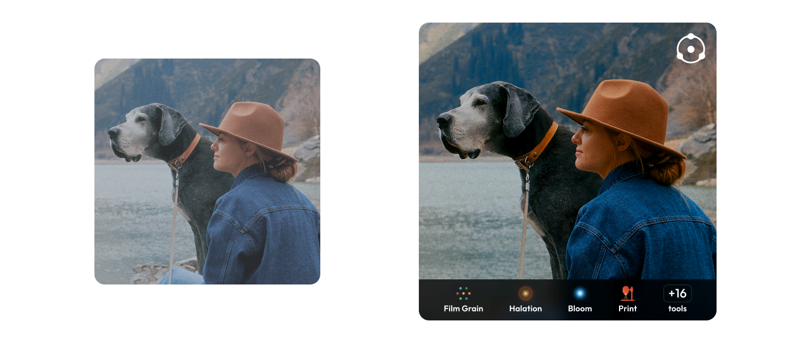 Before-and-after comparison of a woman in an orange hat and denim jacket beside a large gray dog by a mountain lake, showing richer color after editing. A toolbar lists Film Grain, Halation, Bloom, and Print effects.