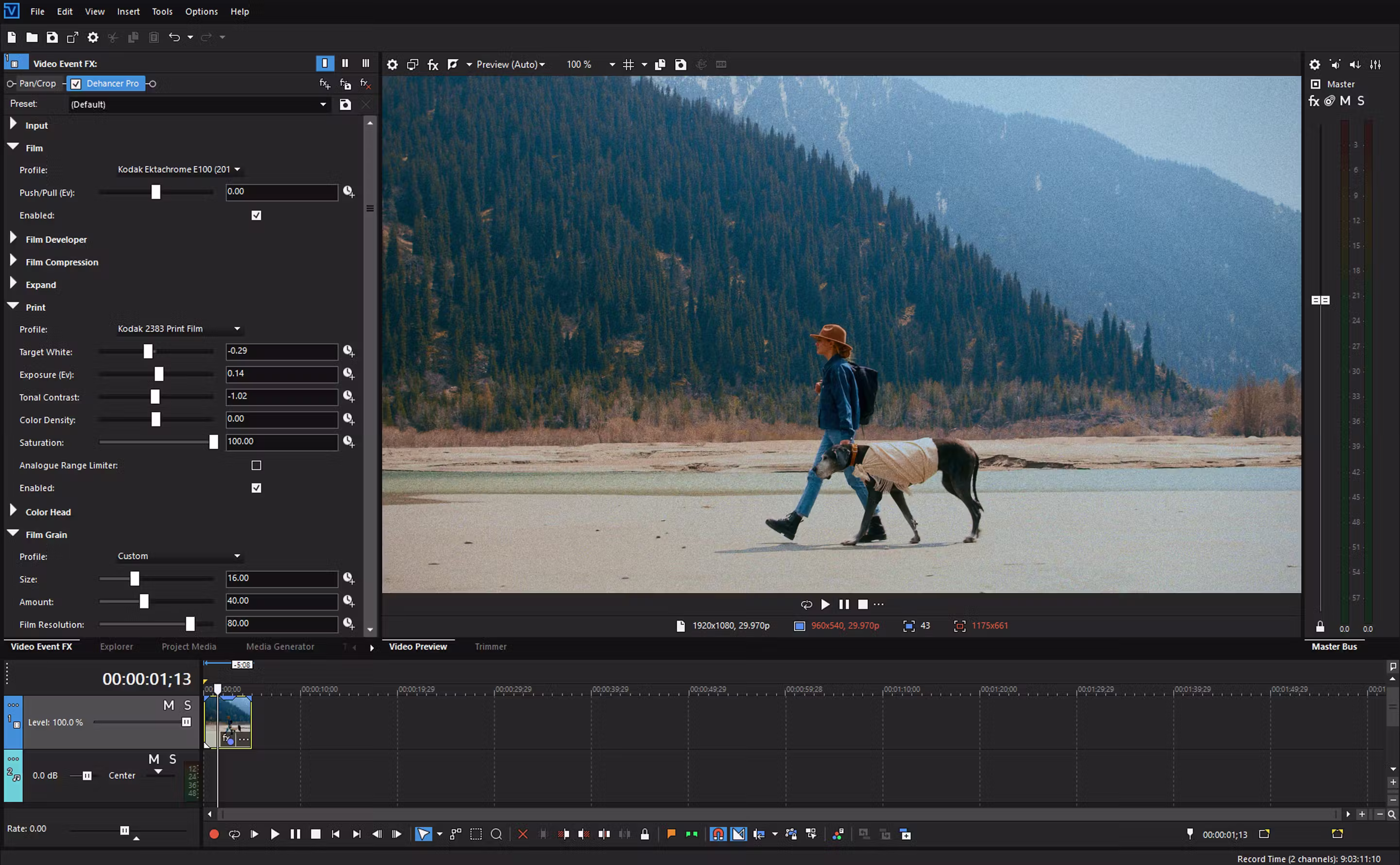 Dehancer plugin in VEGAS Pro with film emulation controls and a graded shot