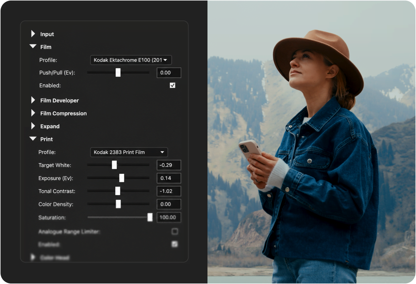 Dehancer Film, Print and Color Head panels in VEGAS Pro beside a graded portrait